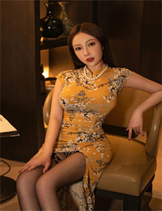 《金品-和黑帮大佬的365天在免费观看第一集》